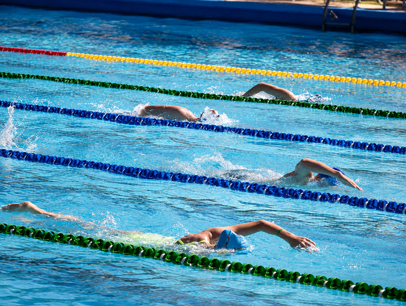 Nageurs effectuant un entraînement structuré en piscine